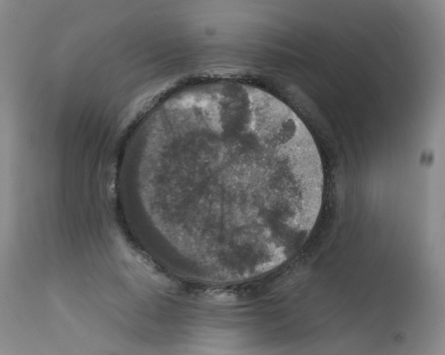 X0000113070640200910091209
