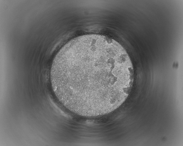 X0000113070641200910091209