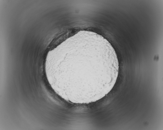 X0000113070642200910091209