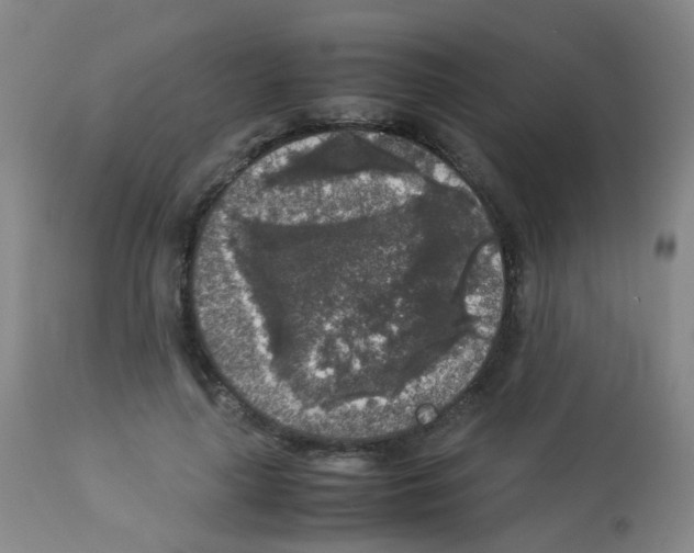 X0000113070643200910091209