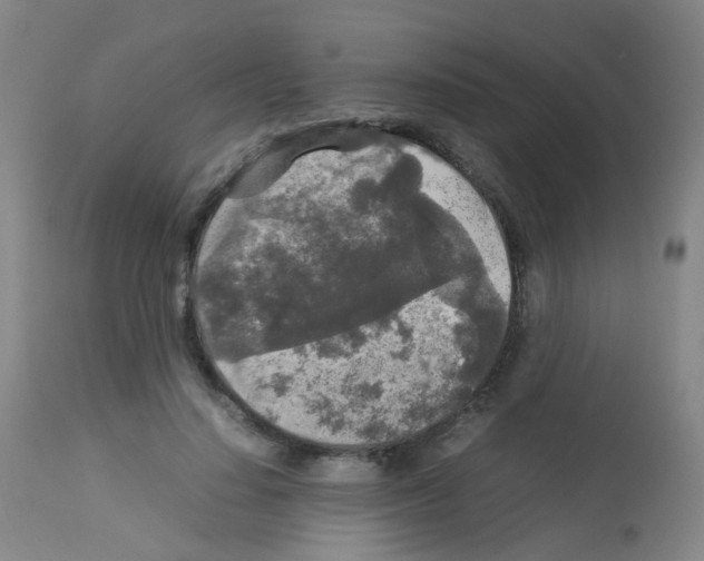 X0000113070644200910091209