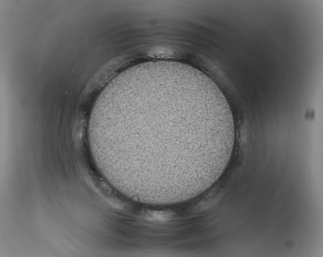 X0000113070645200910091209