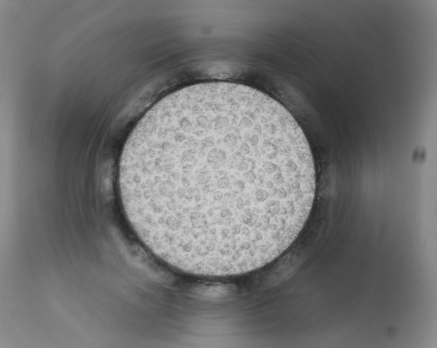 X0000113070646200910091209