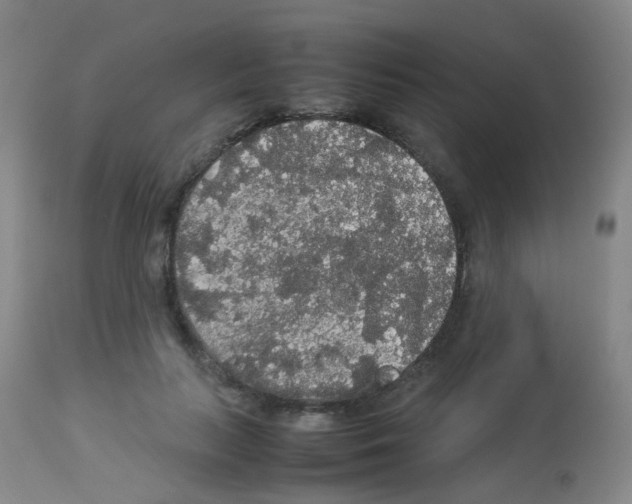X0000113070647200910091209