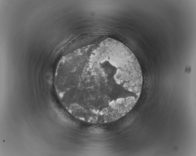X0000113070648200910091209
