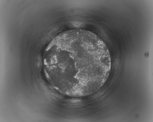 X0000113070651200910091209