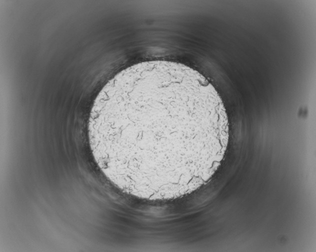 X0000113070653200910091209