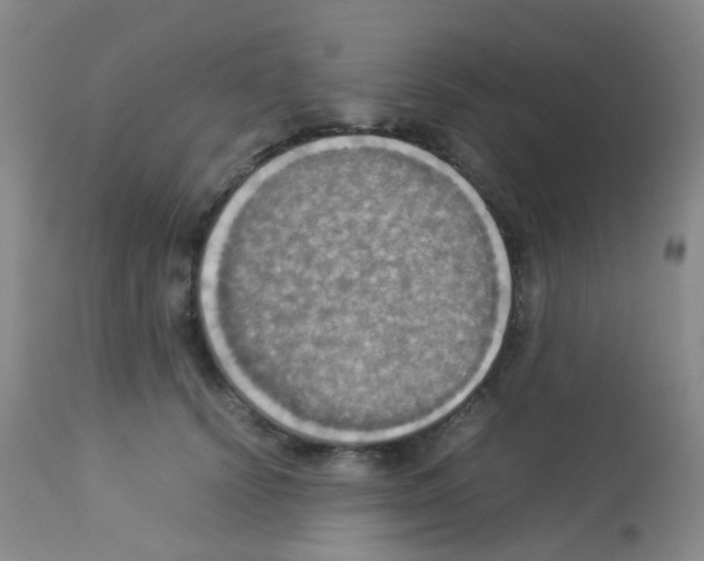 X0000113070656200910091209