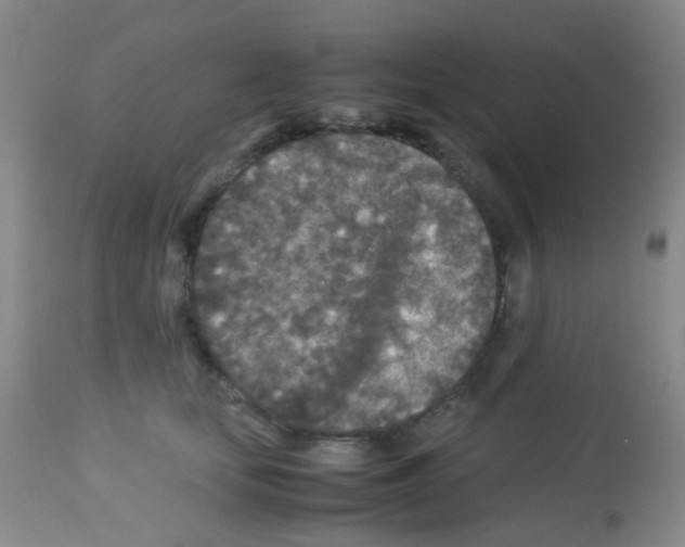 X0000113070659200910091209