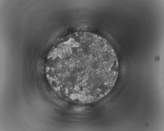 X0000113070661200910091209
