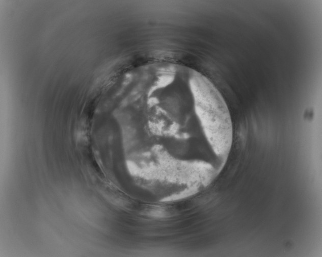 X0000113070663200910091209
