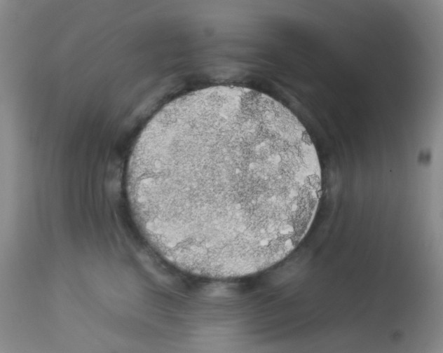X0000113070664200910091209
