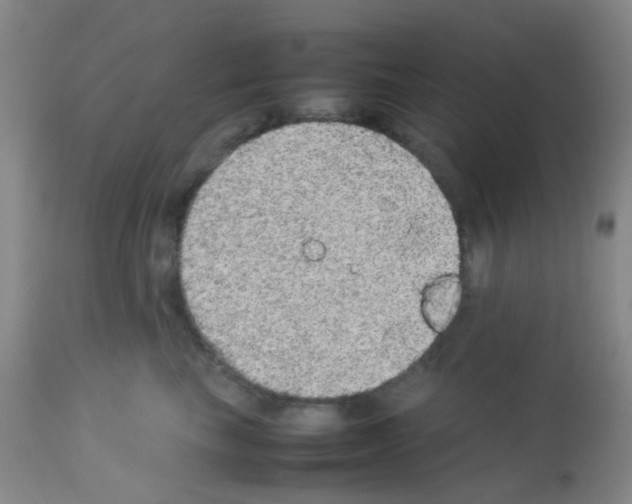 X0000113070665200910091209
