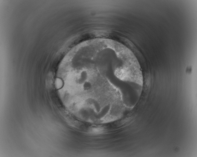 X0000113070667200910091209
