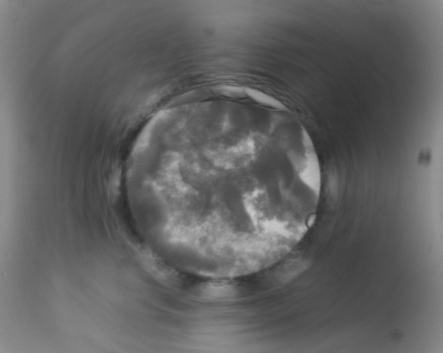 X0000113070668200910091209