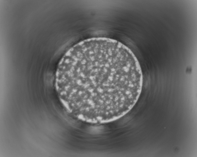 X0000113070669200910091209
