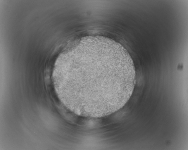 X0000113070670200910091209