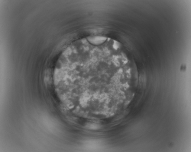 X0000113070671200910091209