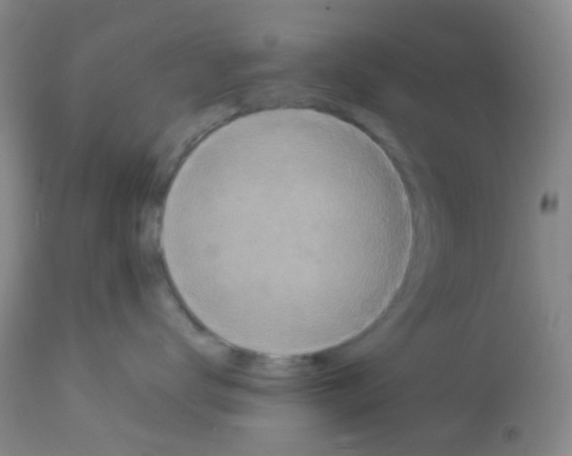 X0000113070672200910091209