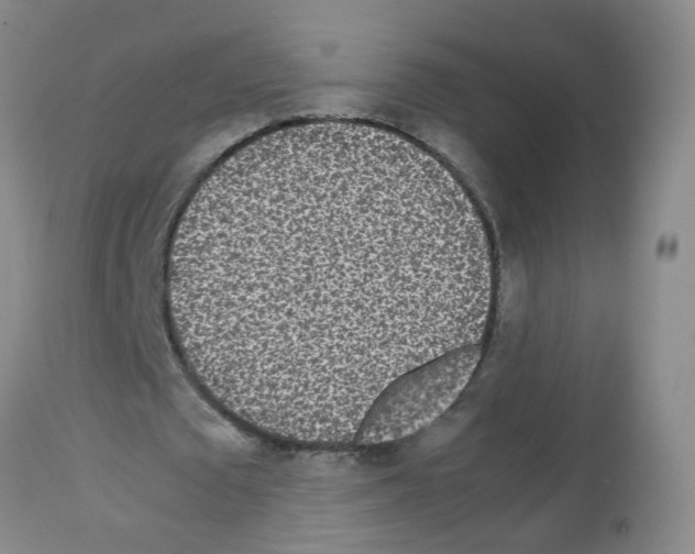 X0000113070673200910091209