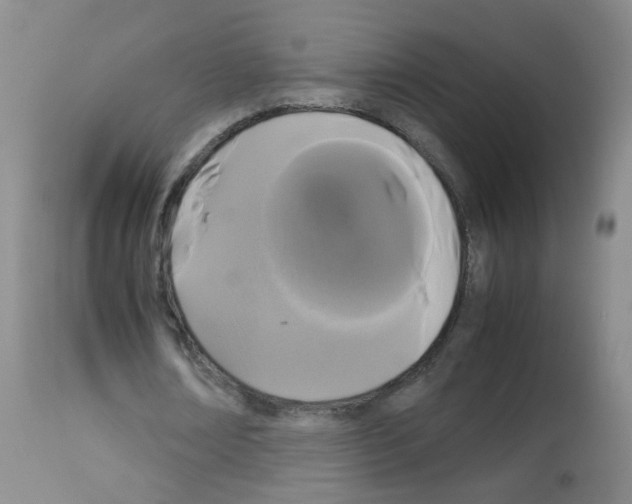 X0000113070674200910091209