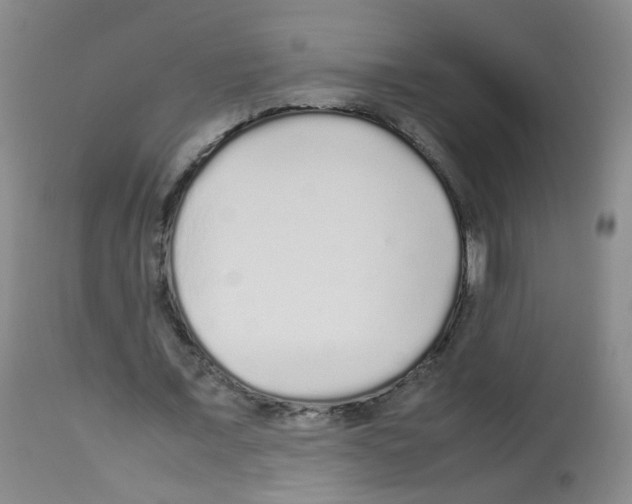 X0000113070675200910091209