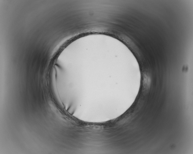 X0000113070676200910091209