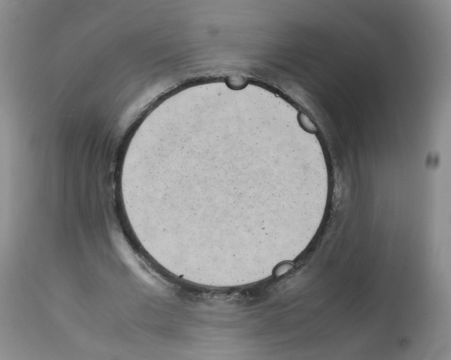 X0000113070677200910091208