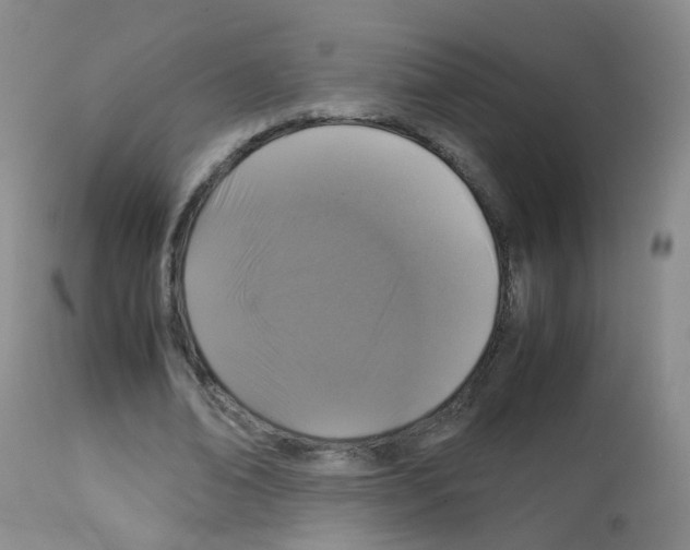 X0000113070678200910091208