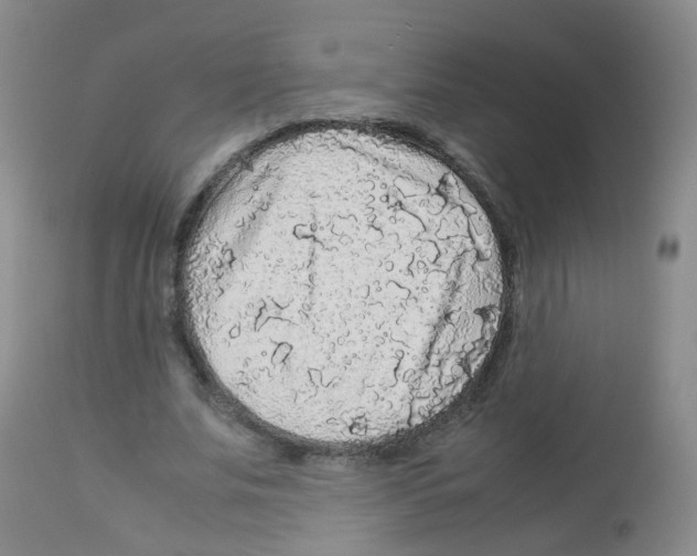 X0000113070679200910091208