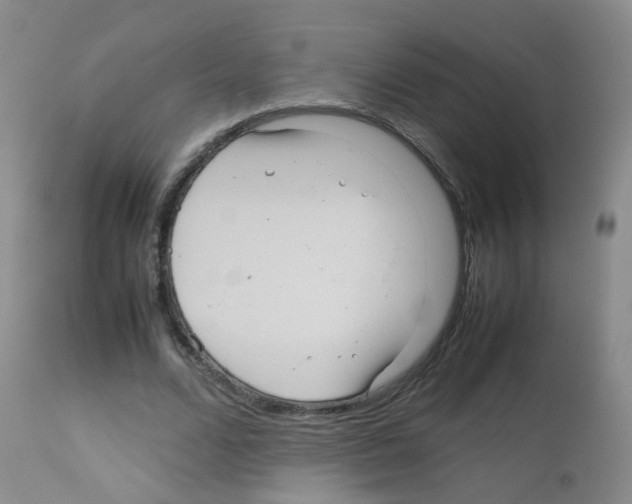 X0000113070680200910091208