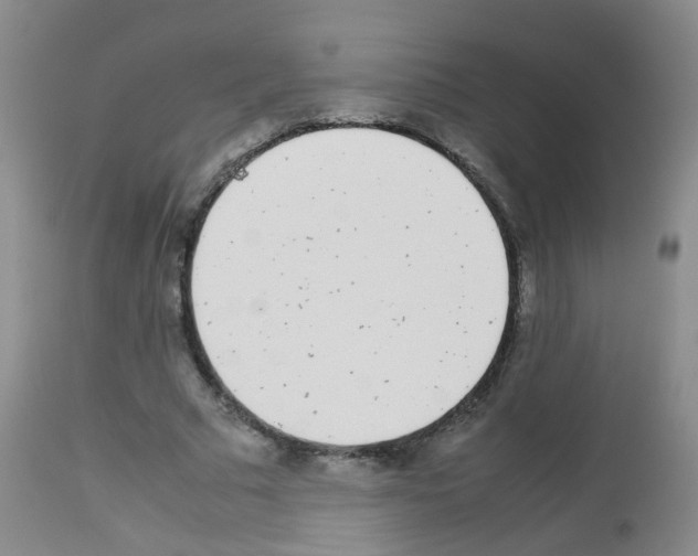 X0000113070681200910091208
