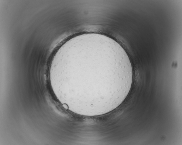 X0000113070682200910091208