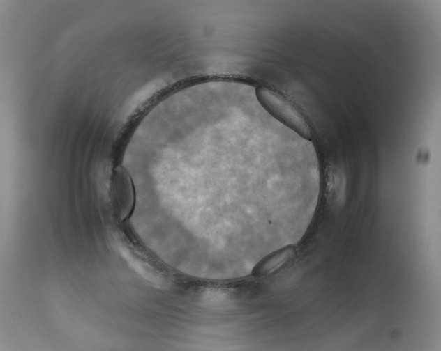 X0000113070684200910091208