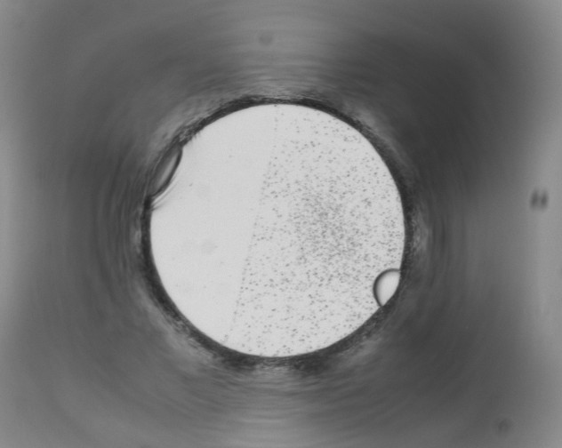 X0000113070685200910091208
