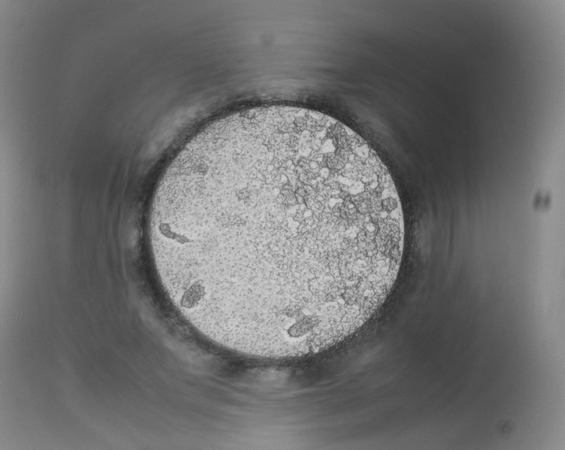 X0000113070687200910091208