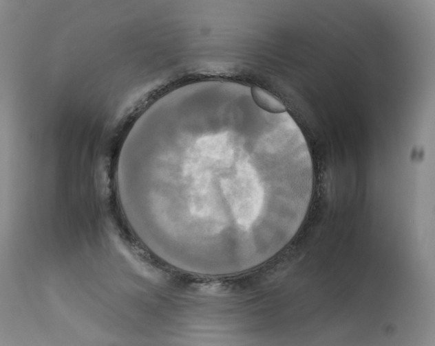 X0000113070688200910091208