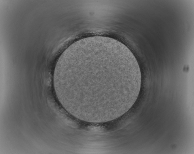 X0000113070689200910091208