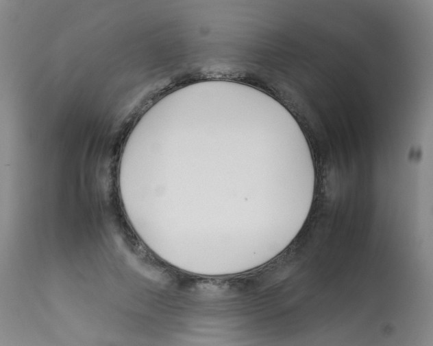 X0000113070690200910091208