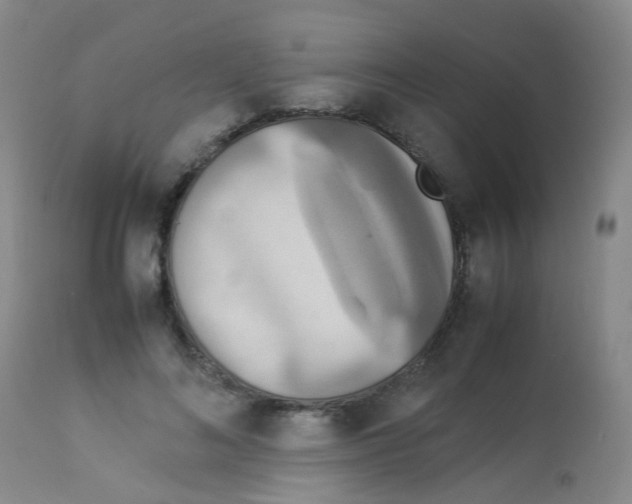 X0000113070692200910091208