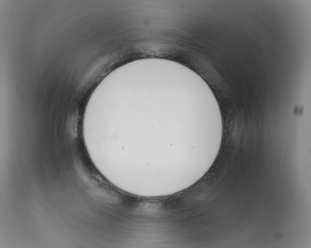 X0000113070694200910091208
