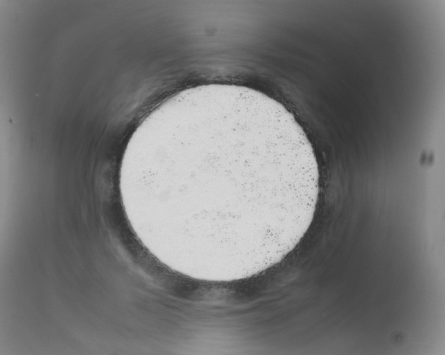 X0000113070695200910091208