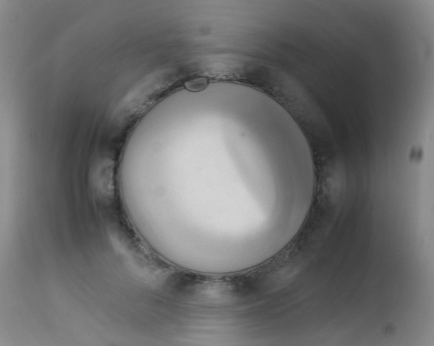X0000113070696200910091208