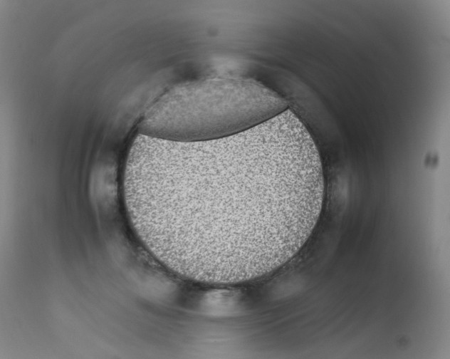 X0000113070700200910091208