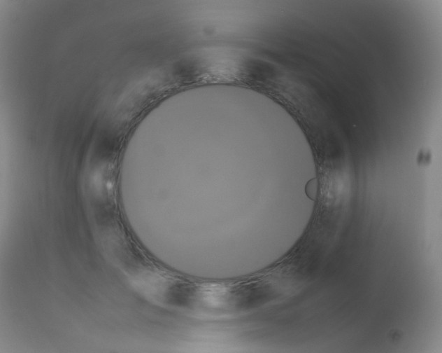 X0000113070701200910091208