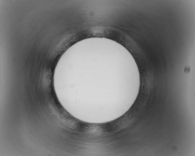 X0000113070702200910091208