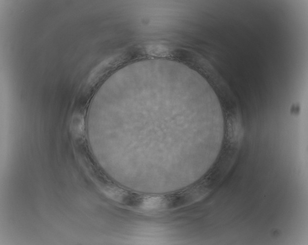X0000113070705200910091208