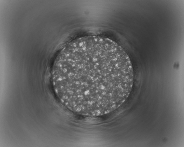 X0000113070707200910091208