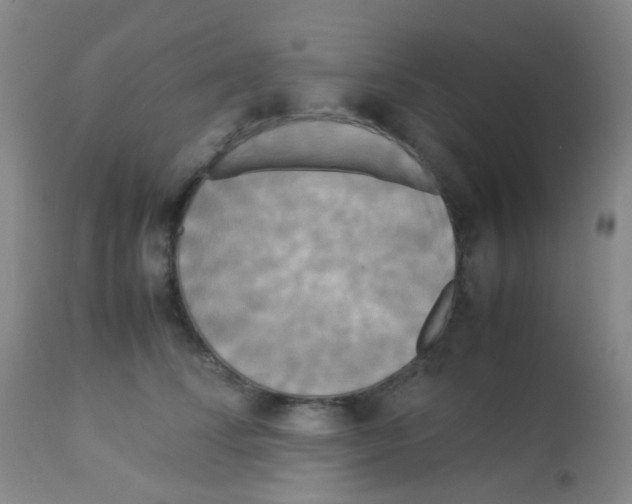 X0000113070708200910091208