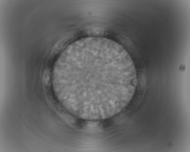 X0000113070709200910091208
